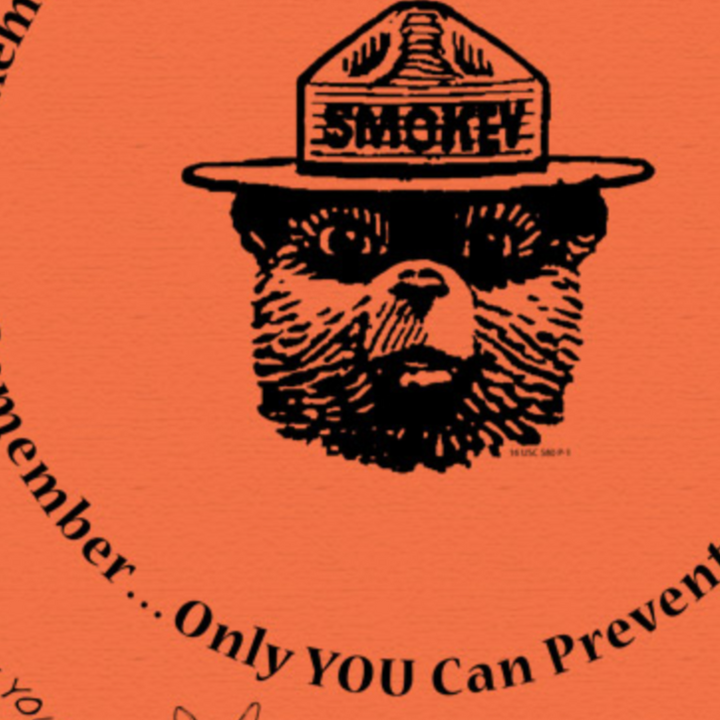 Smokey Bear Only You Bandana